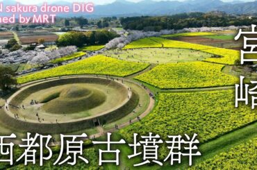 西都原古墳群　宮崎県西都市【JNN sakuraドローンDIG】