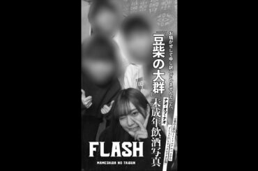 豆柴の大群「FLASH」LYRiC ViDEO