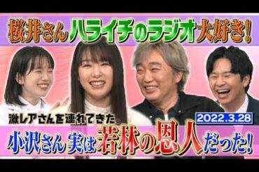 【激レアさん】桜井さんハライチのラジオ大好き!