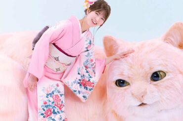岡崎紗絵、巨大ネコと共演　フワフワな体に包まれメロメロに!?　井村屋「やわもちアイス」新CM
