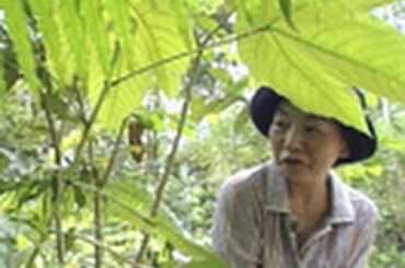 中村桂子の生物進化４０億年の旅　（１）中村桂子の生物進化４０億年の旅