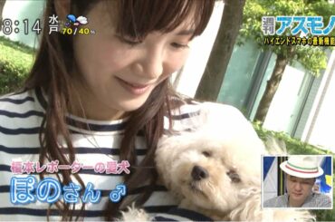 週刊アスモノ「ハイエンドスマホの最新機能」 Xperia X Performance・Galaxy S7 edge（矢崎飛鳥・榎本麗美） [モーニングCROSS]