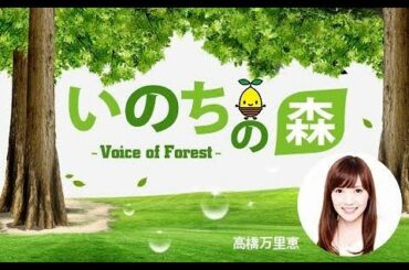#高橋万里恵【TOKYOFM】2022/9/11(日)いのちの森 voice of forest
