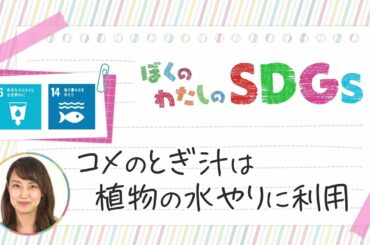 ぼくのわたしのSDGs（あいテレビ　キャスター　アナウンサー編）岡田麻希ver