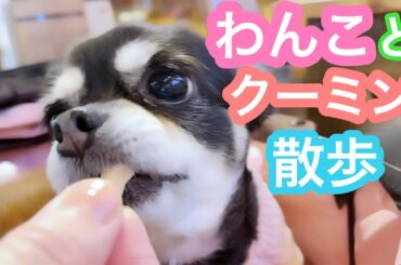 こども達とドッグカフェ🐶 杏ちゃんおやつにトライ！🍗