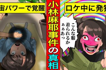 【実話】小林麻耶事件のヤバすぎる真相