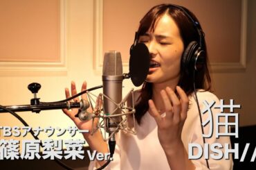 猫 - DISH// Covered by TBS篠原梨菜【女子アナが本気で歌ってみた】