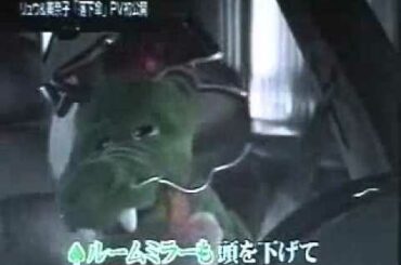 中野美奈子／落下傘