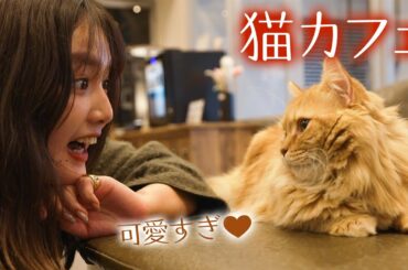 【vlog風】猫カフェの子猫ちゃんが可愛すぎる🤍