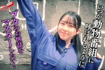 ミュージックブレイク〜【拡散希望】OCHA NORMA〜 西﨑美空がブタの飼育に挑戦！