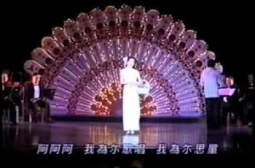 夜来香   上戸彩　「李香蘭」