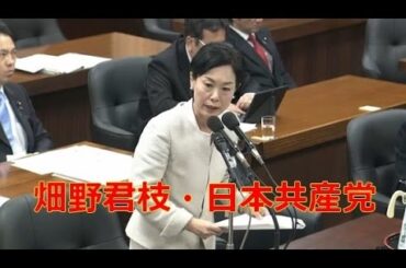 🙃 畑野君枝・日本共産党【国会中継 衆議院 法務委員会】平成29年3月31日