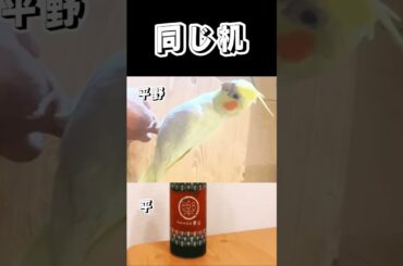 平野紫耀×平祐奈 匂わせ 数々#shorts