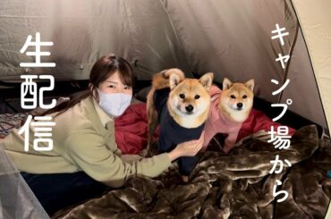 キャンプ場から生配信🏕！