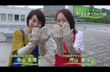 会社で野菜を育てたい！第12回｢梅雨入り目前♪編｣【HOMEアナウンサー】