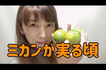 バイオリンで『ミカンが実る頃』