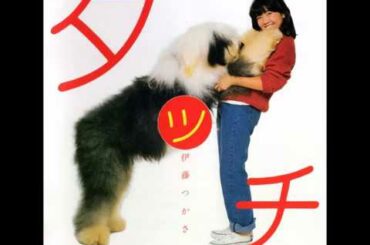 伊藤つかさ　『タッチ』