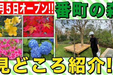 #21 9月5日オープン「番町の森」の魅力をいち早く紹介！！