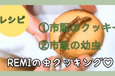 【虫活】職場に昆虫食を持っていき半ば無理矢理食べて貰った結果
