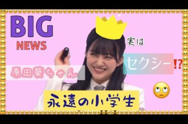 【櫻坂46】ギャグのチョイスが渋い櫻坂と頑張ってセクシーする葵ちゃん