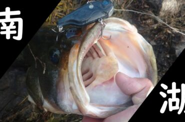 ええのん出ました!!　【琵琶湖バス釣り】