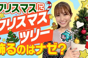 Xmasにツリーを飾るのはナゼ？～もみの木にまつわる伝説～／す・またん！