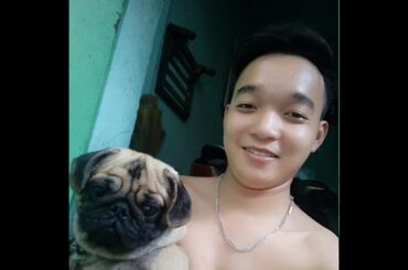 めざましテレビ VS  めざまし8  2022年12月14日 LIVE HD