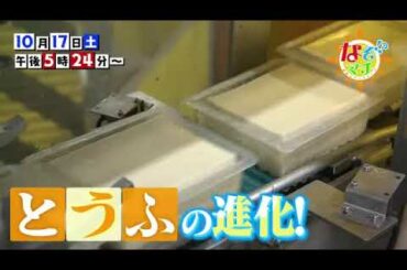 2020-10-17(土)なぞマチ!?▽豆腐の進化が止まらない！最新の豆腐作りを体感！【番宣】