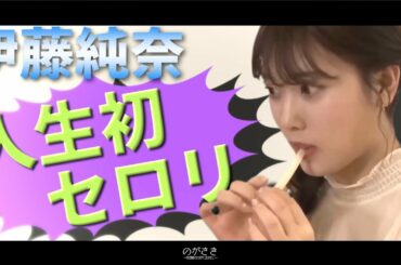 伊藤純奈のセロリ(人生初)を食べる姿が可愛いだけの動画 寺田蘭世 和田まあや【乃木坂切り抜き｜のぎ天2】