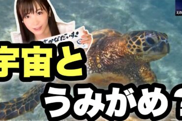 【宇宙とうみがめの関係！？】宇宙の衛星データ活用を詳しく解説！