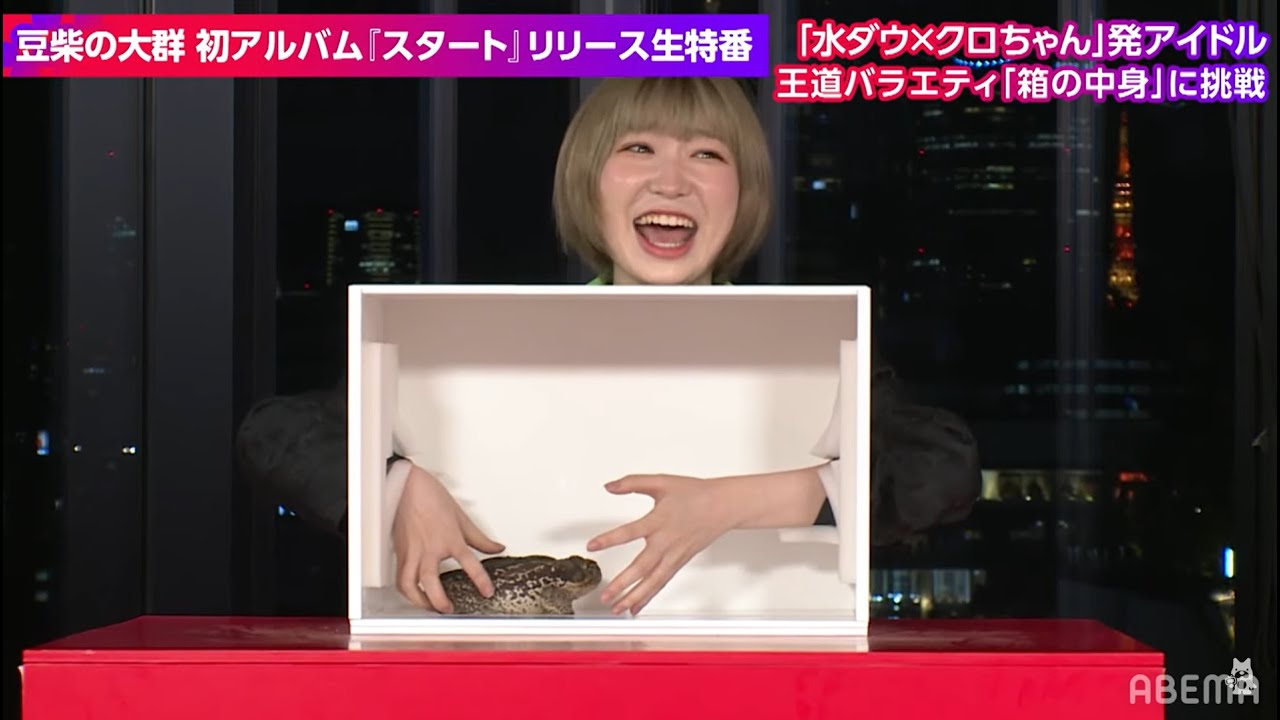 【豆柴の大群】最終問題〇〇にドン引き!?王道バラエティ「箱の中身はなんだろな」豆柴の大群初挑戦!衝撃展開にメンバー悲鳴の嵐|メディア初生パフォーマンスの様子ABEMAビデオで公開中! 【豆柴の大群】最終問題〇〇にドン引き!?王道バラエティ「箱の中身はなんだろな」豆柴の大群初挑戦!衝撃展開にメンバー悲鳴の嵐|メディア初生パフォーマンスの様子ABEMAビデオで公開中!