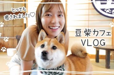 【休日vlog】念願の豆柴カフェでとっても癒されました🐕💓【阿部華也子】