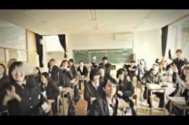 another sunnyday / The perfect ivy