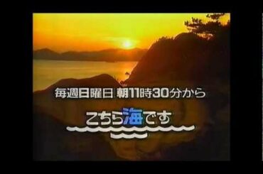 許平和のハイソサエティ／こちら海です 番宣　1989年
