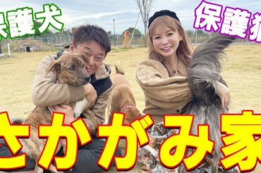 【さかがみ家】パンツ見えちゃうって！押し倒されてメチャクチャにされました…。