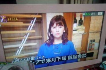 また君に恋してる:何故かしっくりくる:というかこれが己の限界なのか: