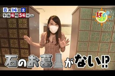 今どきの供養って!?【番宣】▽なぞマチ!?2021 08 14（土）