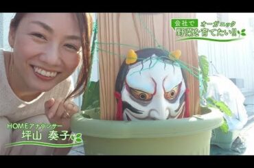 会社で野菜を育てたい！第20回｢トマトをどうしましょ♪編｣【HOMEアナウンサー】