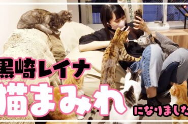 黒崎レイナが猫カフェに行ってきたよ！