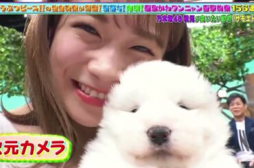 秋元真夏バラエティ出演番組ベストシーン（2022）