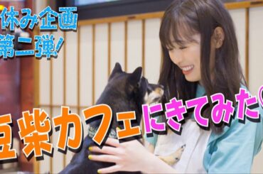 原宿にある豆柴カフェに行ってみた！！【夏休み企画第二弾!!】