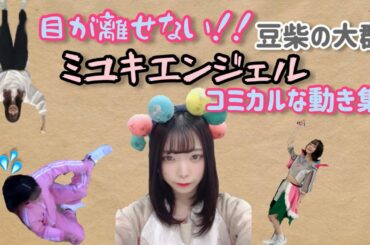 【豆柴の大群】ミユキエンジェルコミカルな動き集【目が離せない】