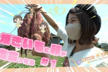 『NGT48 新潟スイーツ部×ひなたまつり』第1話