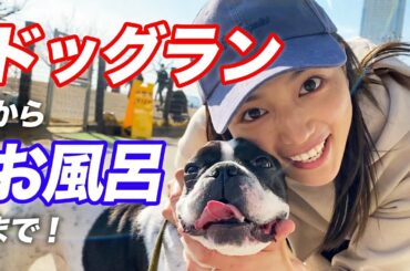 ドッグランからお風呂まで！