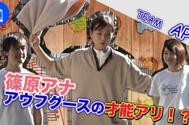 【アウフグースプロフェッショナルチーム】篠原梨菜アナが実際にアウフグースを実践！意外な才能が！？