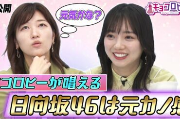 【キョコロヒー】ヒコロヒーが唱える「日向坂46は元カノ感」《キョコロヒー/ヒコロヒー/齊藤京子/日向坂46》