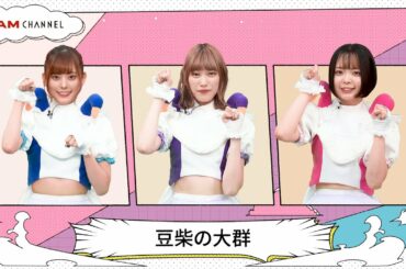 【豆柴の大群】アドバイザー「クロちゃん」との思い出【DAM CHANNEL】