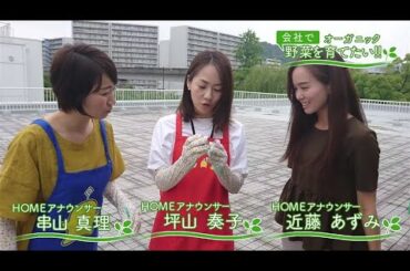 会社で野菜を育てたい！第13回｢続・梅雨入り目前♪編｣【HOMEアナウンサー】