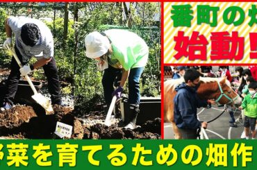 #26 番町の畑 始動！お馬さんに食べさせる野菜を育てるための畑作り！