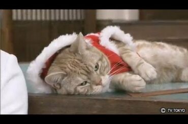 週刊ニュース新書 大江アナのホッと一息(2012.12.22)